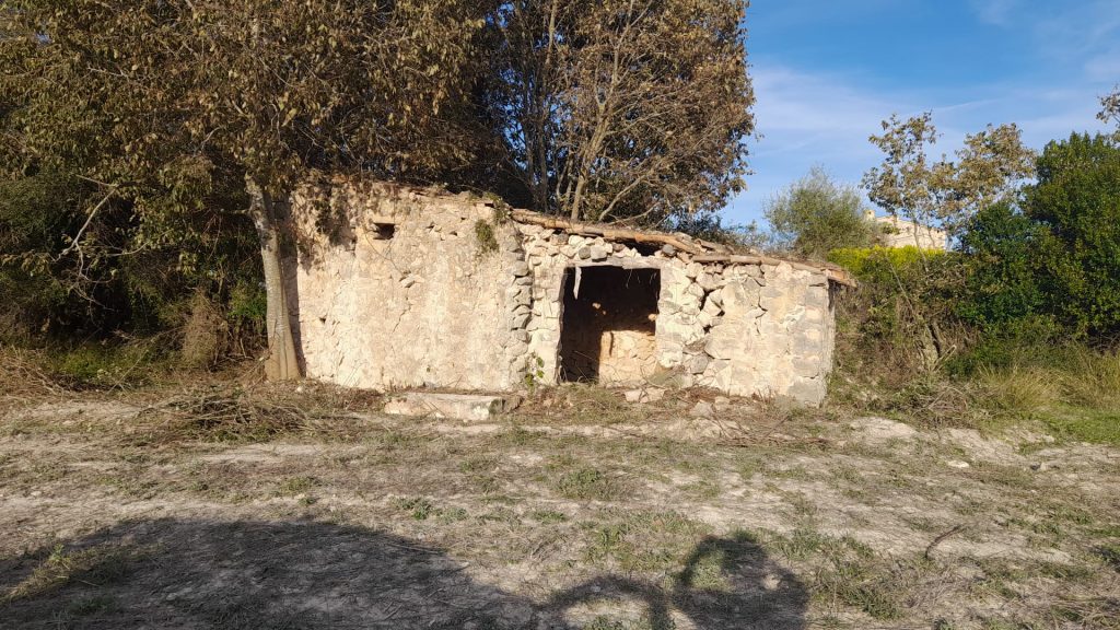 land for sale in Alcudia